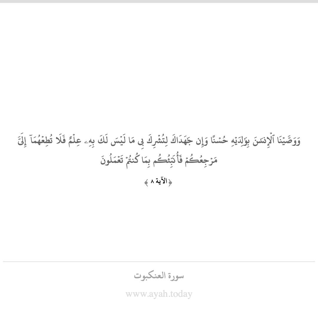 ( من خصائص حفظ المعلومات البياني )